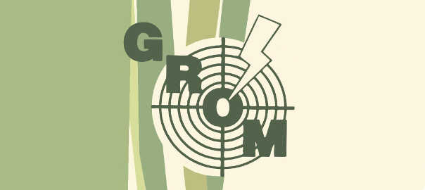 Strzelnica GROM ZSB Żary Logo
